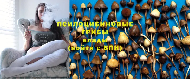 Псилоцибиновые грибы GOLDEN TEACHER  Гороховец 